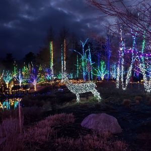 Meet your Posher, Meredith